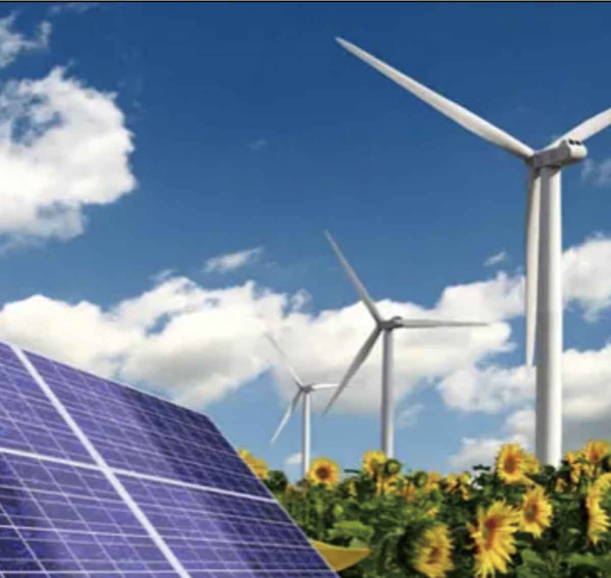 中實(shí)業(yè)績圖片整理_畫板 1 副本 6.jpg