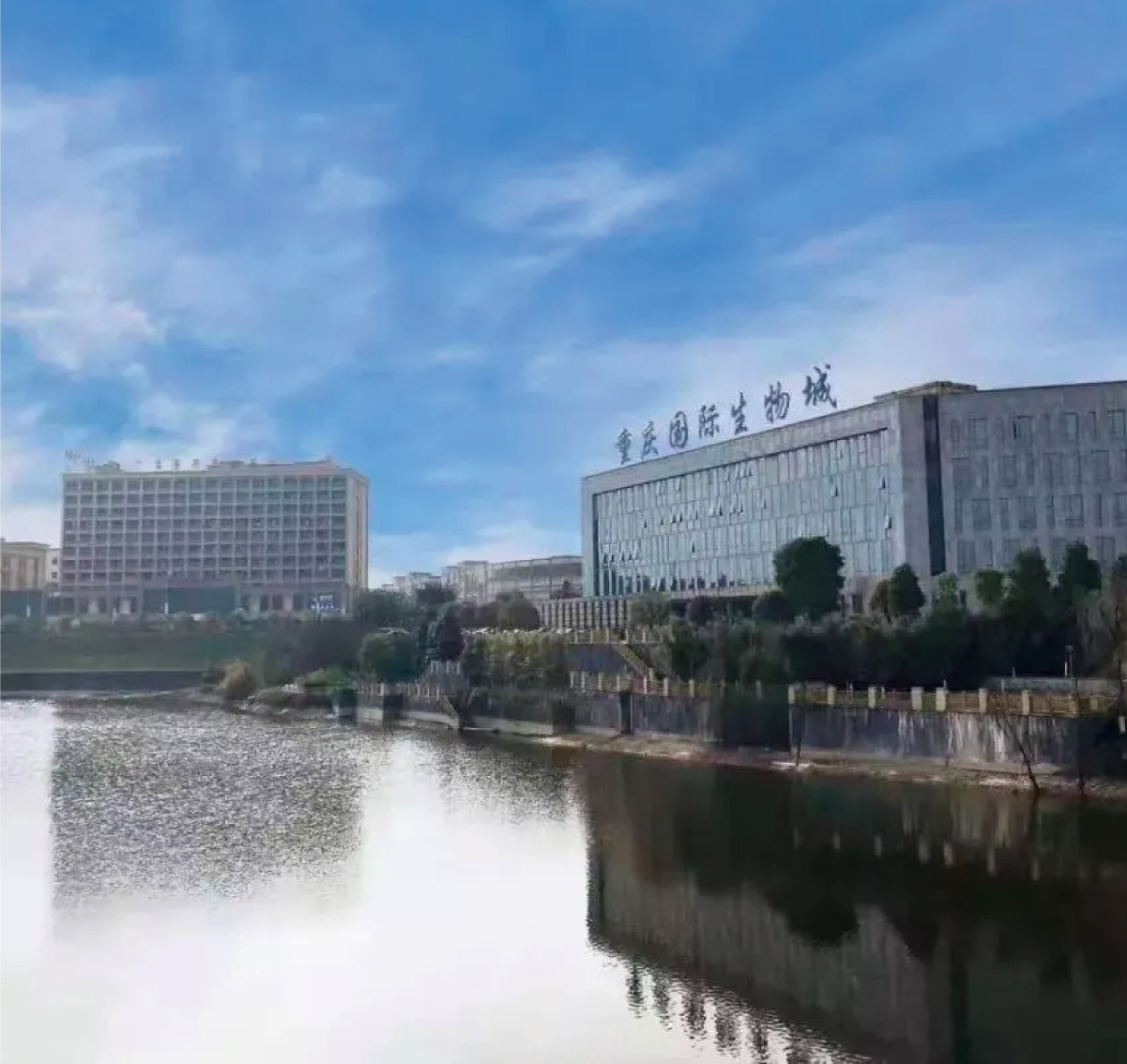 中實(shí)業(yè)績圖片整理_畫板 1 副本 14.jpg